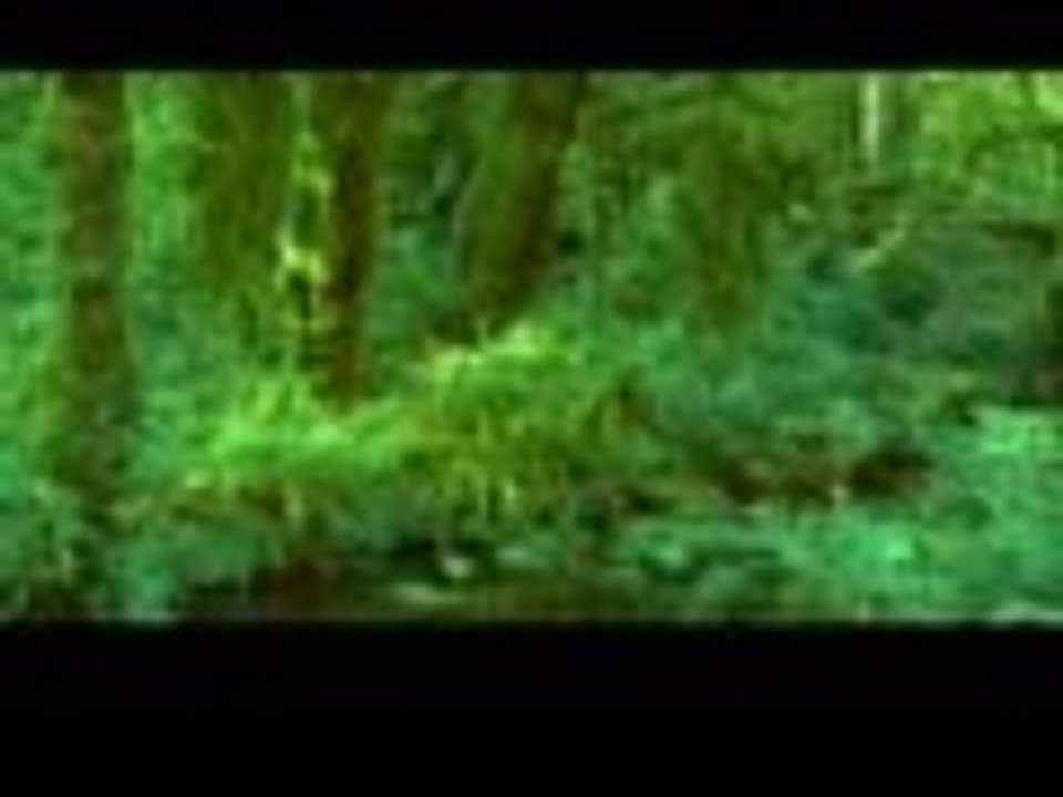 Mezmur: ካንተ ሌላ አላውቅም አምላክ/ 2013