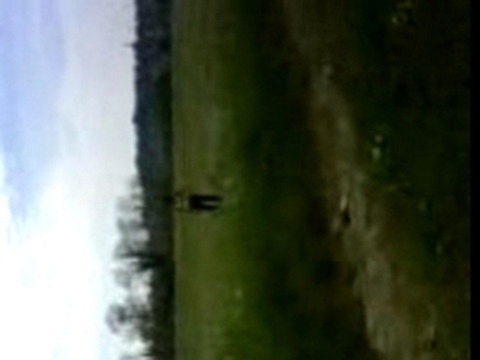 MOV00133