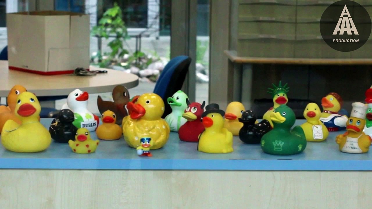 Reportage sur la formation MMI