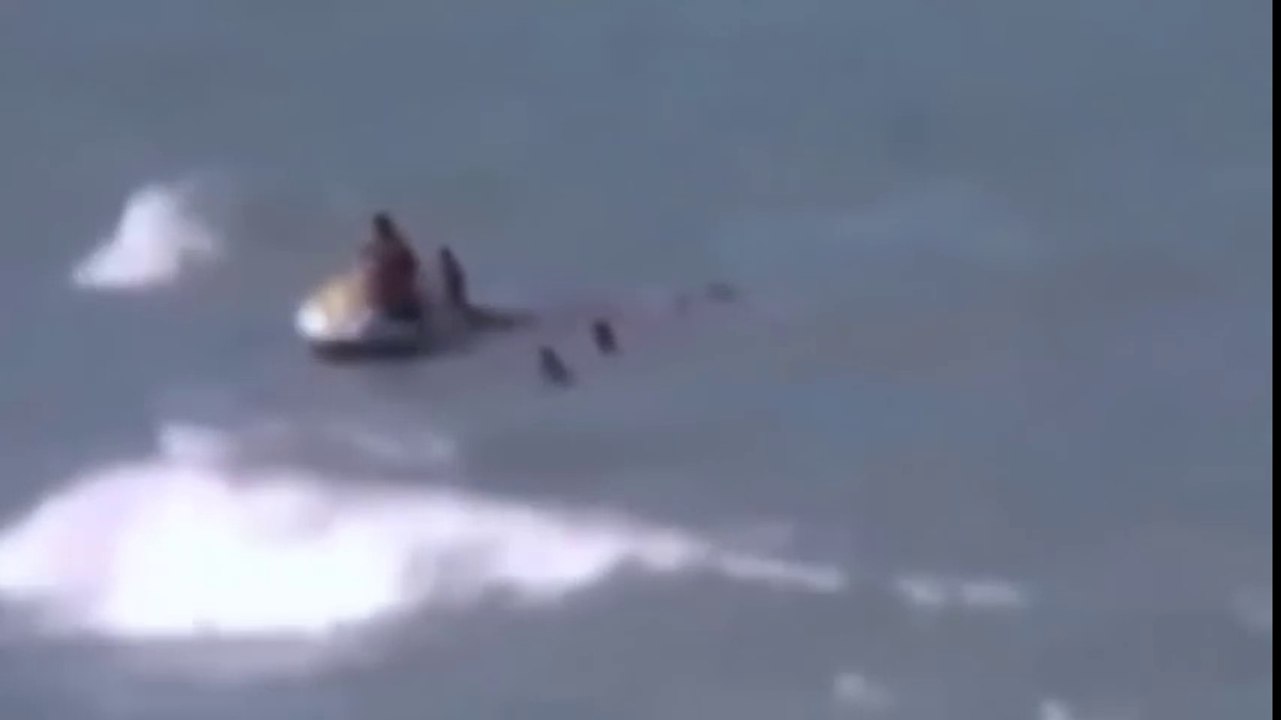 Most amazing wild animal attacks #3 - Biggest python snake   Giant anaconda attacks human_HD