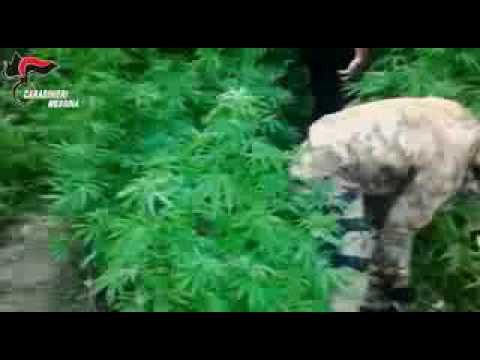 Messina - Operazione ''Trade'' traffico di droga, armi e banconote false (20.07.16)