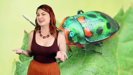 Top 10 Scary Gifs On The Internet - Part 4