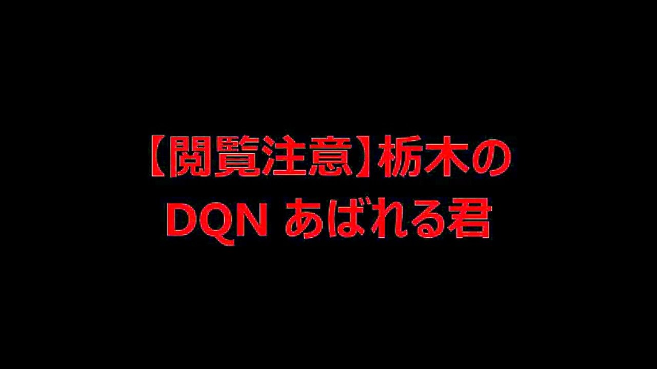 【閲覧注意】栃木のDQN あばれる君
