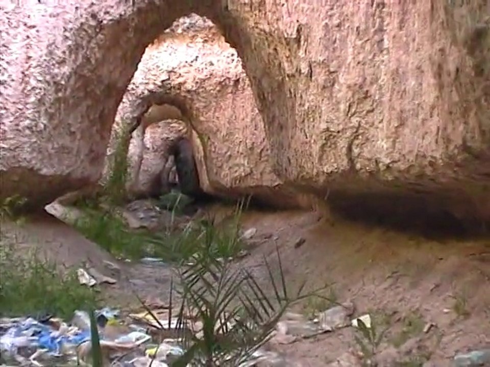 LIGNE & POINT_parcours d'un coin de palmeraie patrimonial en perdition urbaine en 2004