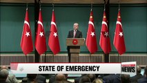 Turkey declares state of emergency for 3 months