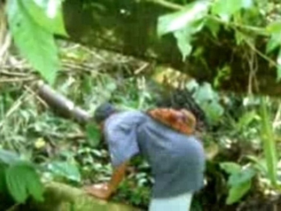 Video amazonie julie