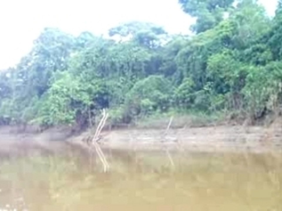 Video sur riviere