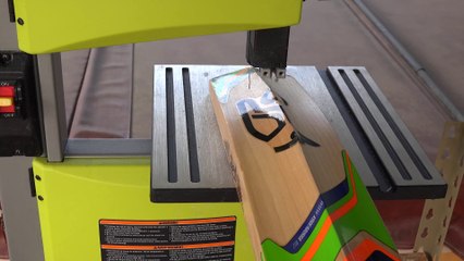What's inside a Cricket Bat- "WHAT'S INSIDE" Series