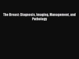 Read The Breast: Diagnosis Imaging Management and Pathology Ebook Free