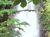 梅本哲信　篠笛-癒し-Deva-Yoko（デヴァ・ヨーコ）即興演奏：滝との共演_m6NLnZKi7BQ_youtube.com