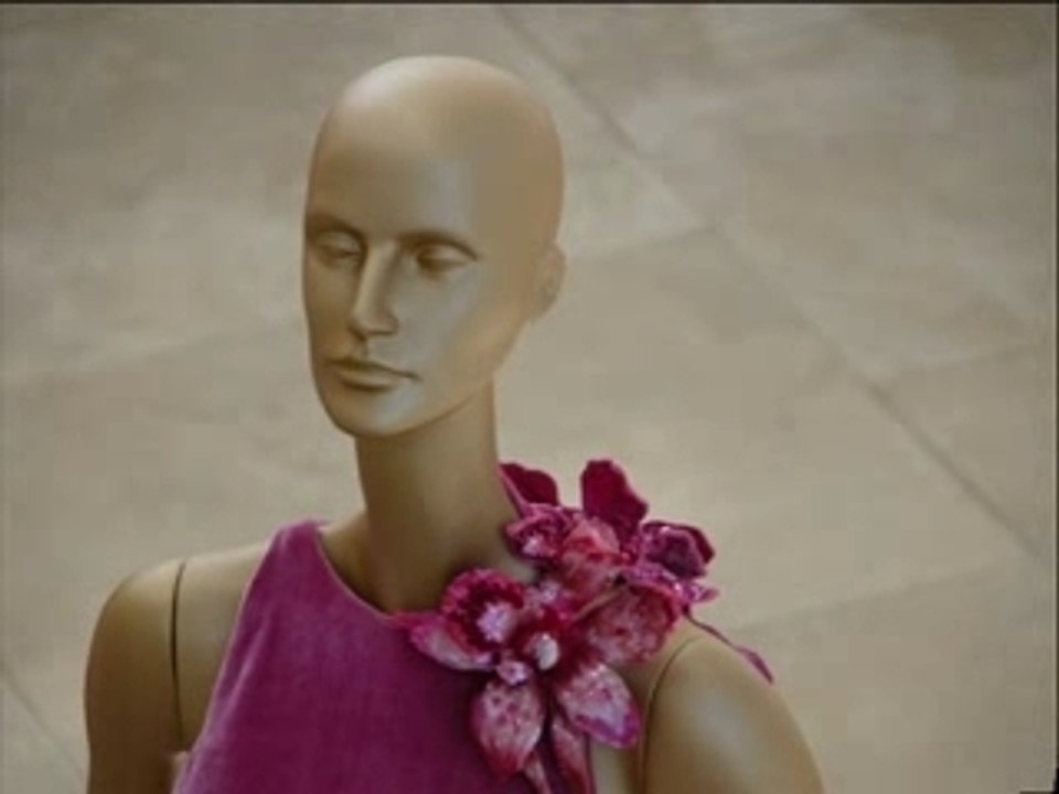 Exposition Valentino - Les couleurs - Ara Pacis - Rome en im