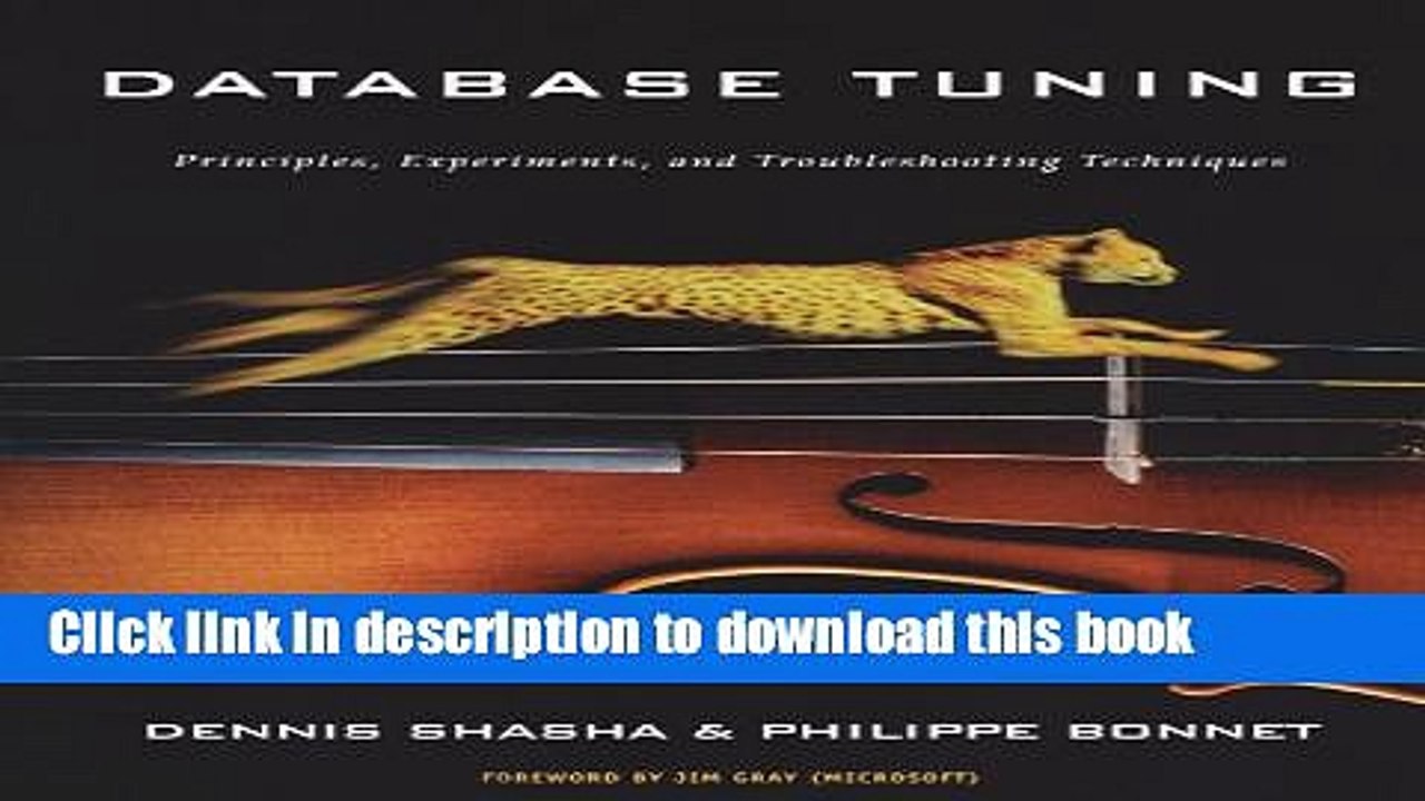 Read Database Tuning: Principles, Experiments, and Troubleshooting Techniques (The Morgan Kaufmann