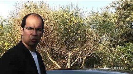 Volkswagen Passat CC, la Mercedes CLS du peuple