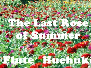 梅本哲信　庭の千草----フルート演奏-The-Last-Rose-of-Summer_yFIuV8yD+0w_youtube.com
