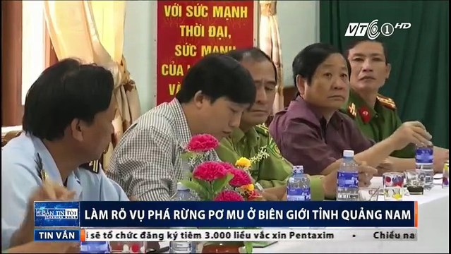 Làm rõ vụ phá rừng pơ mu ở biên giới tỉnh Quảng Nam.