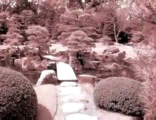 ビューティーミュージアム 笛-癒し-Deva-Yoko（デヴァ・ヨーコ）：調和_WsmmggQn+HA_youtube.com