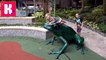 Водные развлечения у Мисс Кати и пенный бассейн Гонконг Оушн Парк бегаем в пенном бассейне смотрим наш канал новое видео