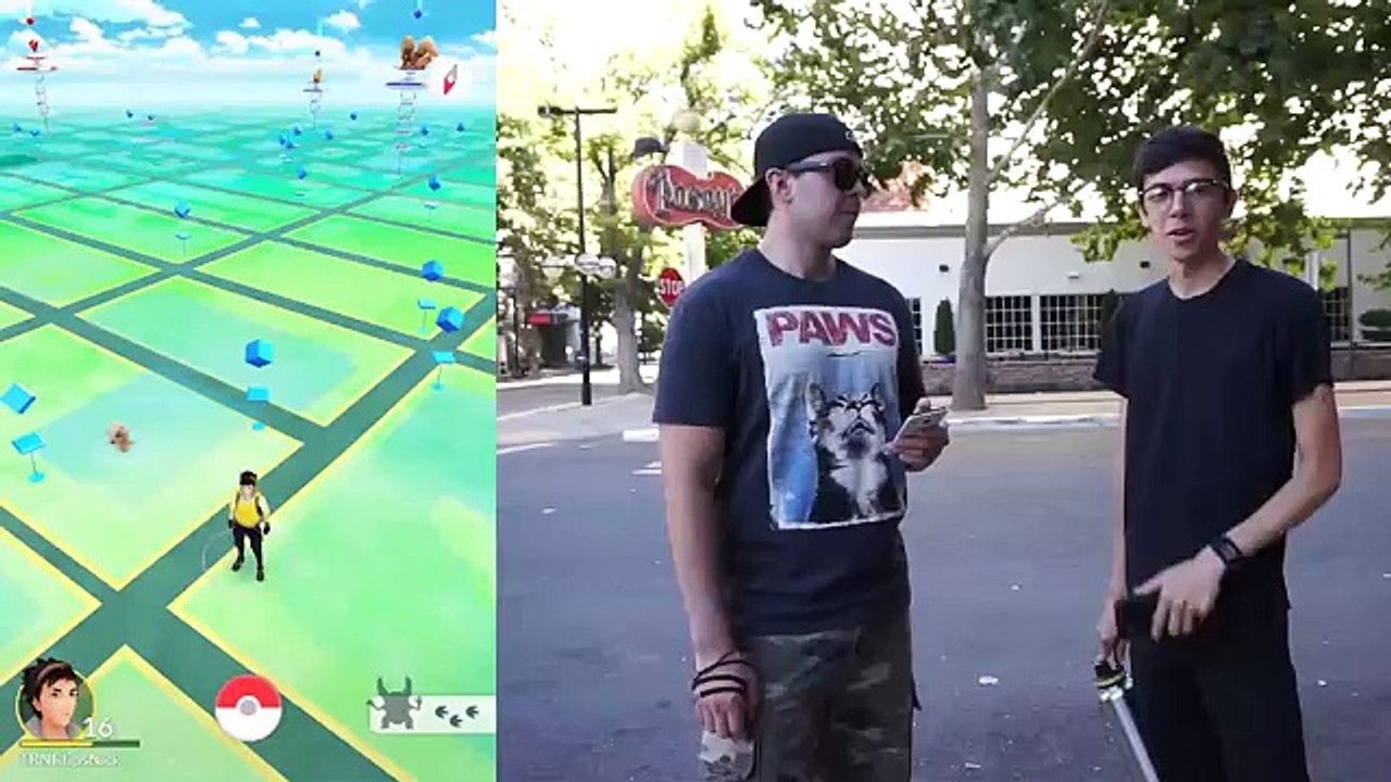WHY IS EVERY POKÉMON SHOWING 3 FOOTPRINTS!