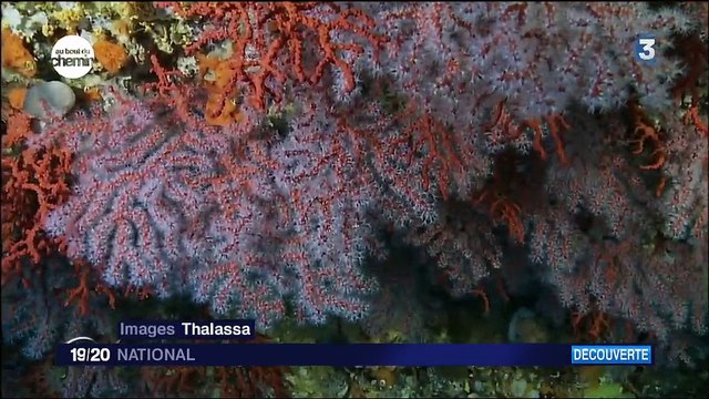 Au bout du chemin , Girolata en Corse
