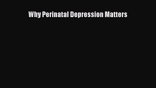 Read Why Perinatal Depression Matters Ebook Free