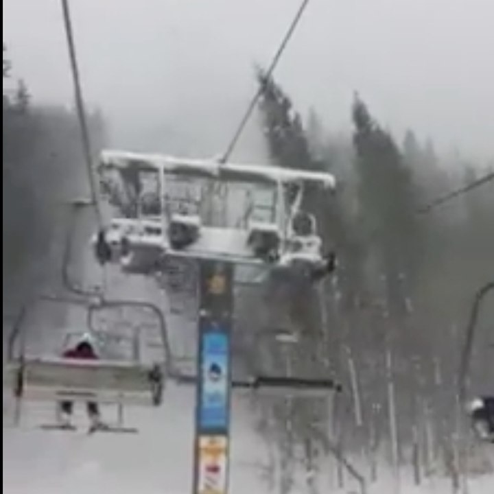 Uma árvore cai em um teleférico