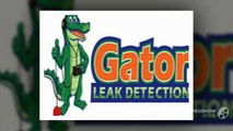 Gator Leak Detection - Detect Leak in Swimming Pool Using dye Method