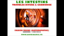Intestins : troubles et candidose (Fabien Moine)