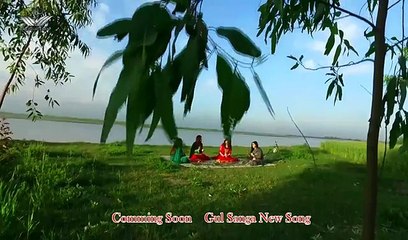 Zama Janan Da Ranga Tor De Gul Sanga