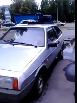 Собака автомобиляка