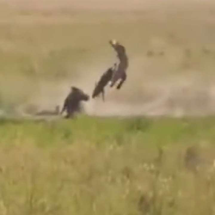 Un Disney dans la vraie vie !