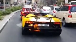 O motorista se emociona e seu Lamborghini pega fogo