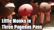 Little Monks in Three Pagodas Pass