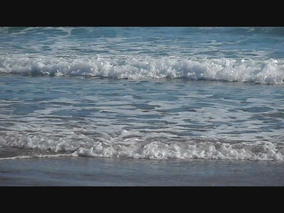 Location maison gîte Saint Hilaire de Riez (85270) plage particulier et bon plan bon coin Juillet Août Septembre