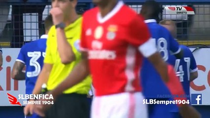 Sheffield Wednesday 1 x 0 SL Benfica - 2016/2017