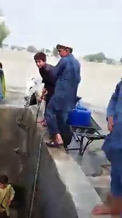 جو لوگ پانی کی قدر نہی کرتے وہ پلیز صرف ایک بار یہ ویڈیو دیکھ لیں