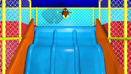 Colour Lesson for Toddlers Indoor (21)