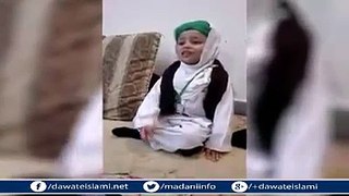 funny baby video 2016