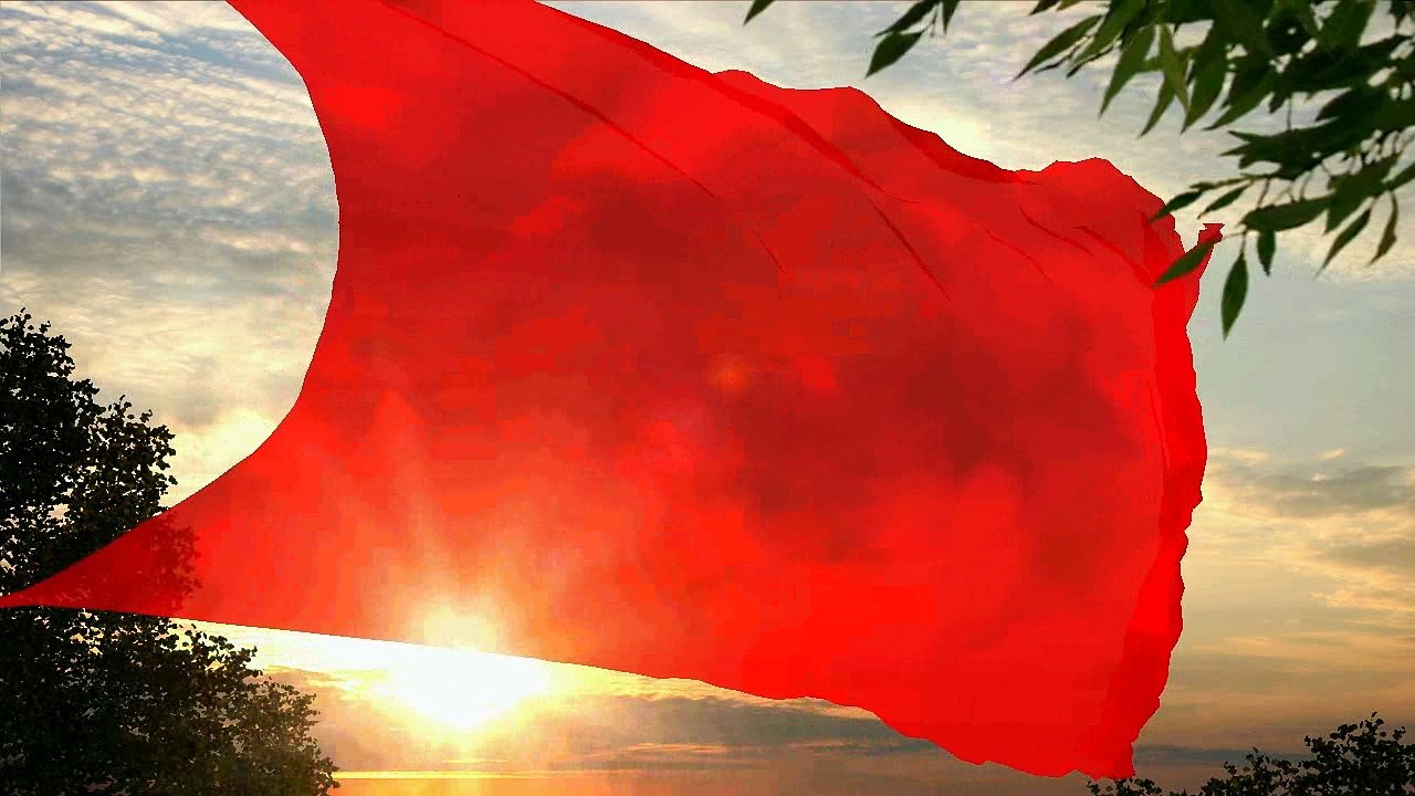 Flag and anthem of Anderlecht