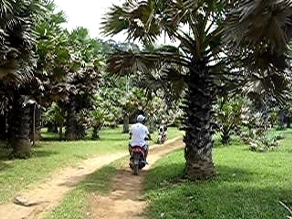Tite Balade en Moto Bike