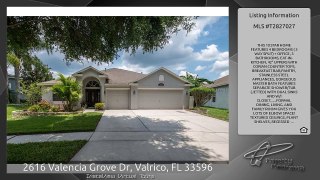 2616 Valencia Grove Dr, Valrico, FL 33596