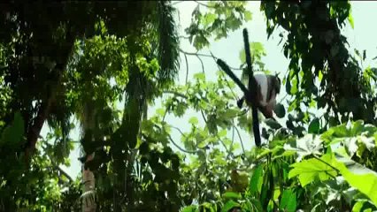 Indian Actress Deepika Padukone and Hollywood Star Vin Diesel upcoming movie's first trailer