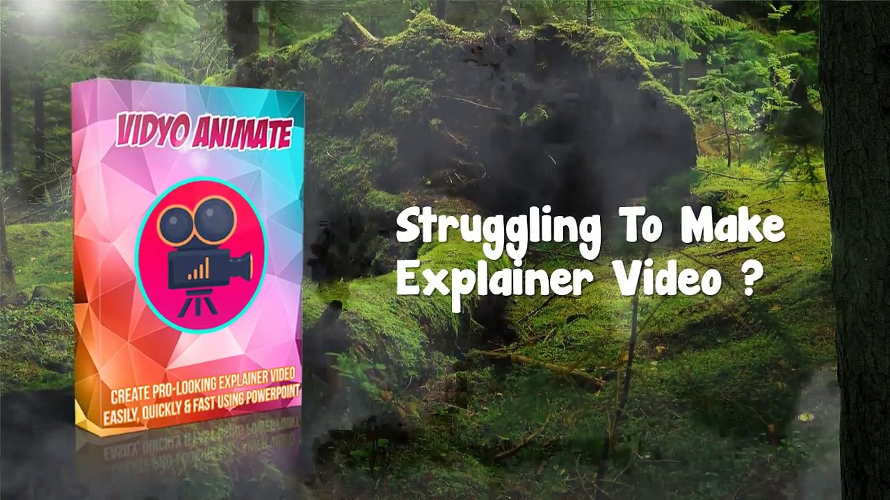 Vidyo Animate Review