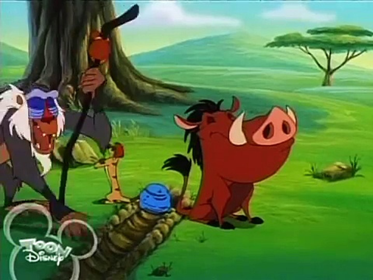 Timon And Pumbaa Real