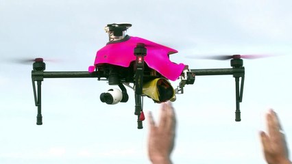En una playa de Francia, drones al rescate