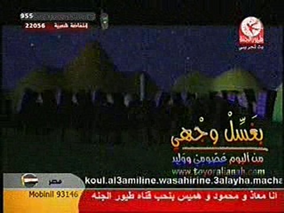 طيور الجنة - بغسل وجهى