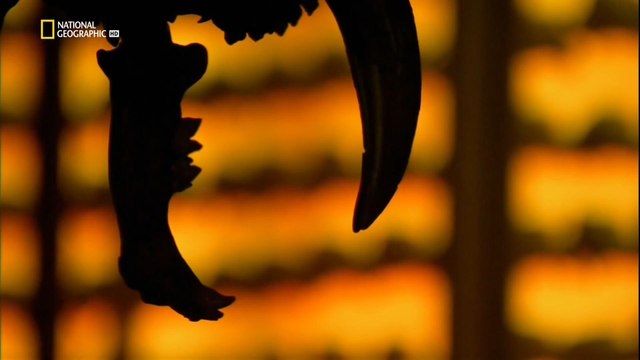 Когда сталкиваются континенты / When Continents Collide (2010) HD