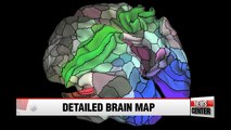 New brain map identifies nearly 100 new areas