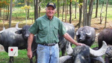 NY Safari Park Owner Trampled To Death By Antelope