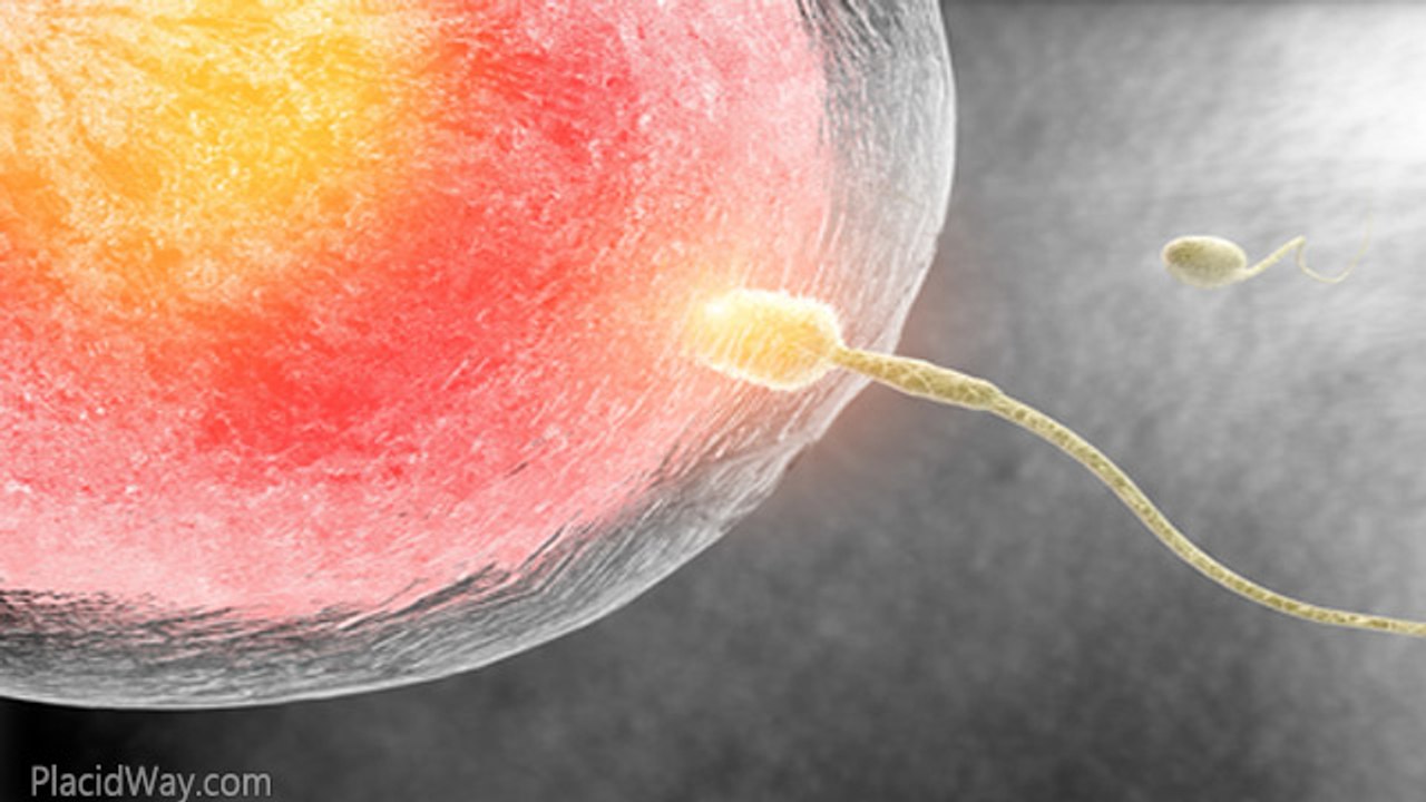 Tubal Ligation Reversal Clinic in Mexico - Laparoscopic Tubal Ligation