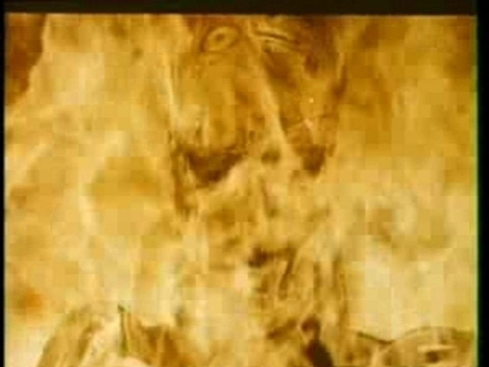 Terminator II (B.A)